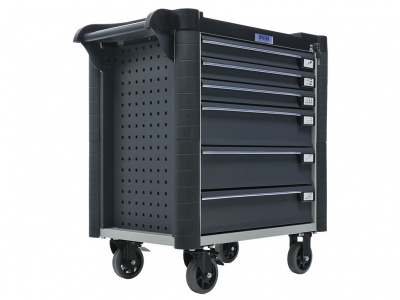 WDS-6.0 NEW (5)